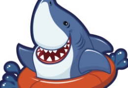 食品原料小百科：硫酸軟骨素可以用在什么地方？