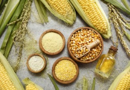 野油菜黃單孢菌發(fā)酵產(chǎn)生的復(fù)合多糖體——黃原膠(上)